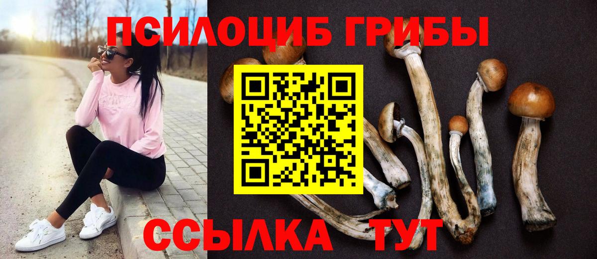 Псилоцибиновые грибы прущие грибы Мичуринск