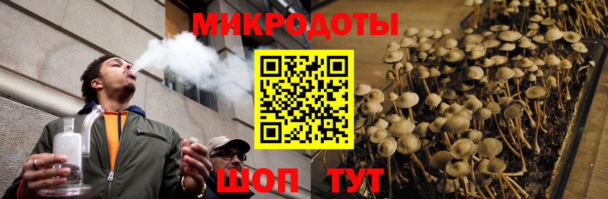 Галлюциногенные грибы мицелий  Псилоцибиновые грибы Cubensis  Мичуринск  Вход с VPN 